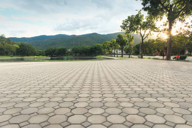 Best Professional Driveway Pavers  in Bella Vista, AR