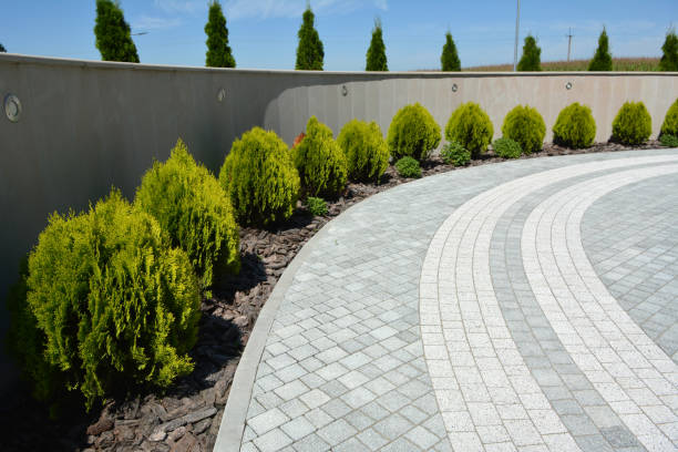 Best Concrete Paver Driveway  in Bella Vista, AR